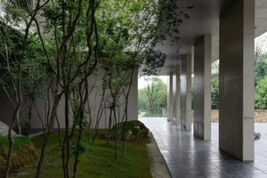 Modern, minimalist concrete pathway with trees and grass