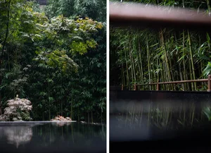 A serene water feature surrounded by lush greenery and bamboo plants, reflecting a calm and natural ambiance.