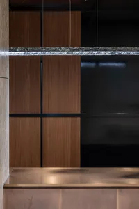 Modern interior entrance featuring wood panels, dark glass, and brass accents.