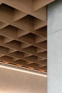 Detailed view of a modern wooden ceiling featuring an organic geometric pattern, showcasing natural wood grains and a contemp