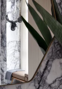 A modern bathroom features marble walls and a root-like plant.