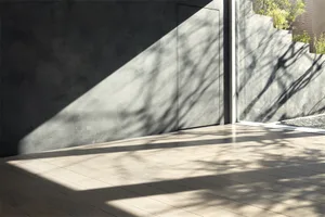 A modern minimalist entryway featuring wood and concrete materials.