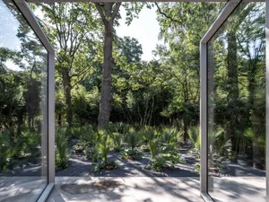 Modern outdoor space with large glass windows and floors, featuring lush green vegetation and trees.