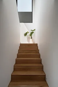 A modern staircase with wooden steps and a plant at the top under a skylight.