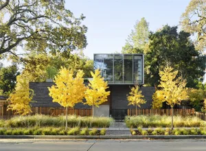 Modern residential exterior with wood, glass, and concrete materials