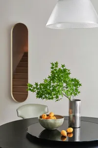 A modern dining room features a minimalist table setting with a plant decoration and a metal vase, surrounded by white walls