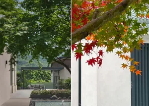 A minimalist landscape featuring pavement and trees, showcasing clean lines and natural elements.