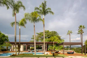 Modern house exterior featuring a pool surrounded by palm trees and lush greenery.