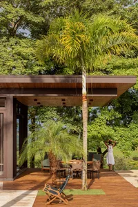 A modern terrace adorned with palm trees, featuring wooden deck and outdoor furniture.