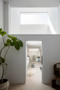 Modern minimalist living room with concrete walls and floor, large window, and plant.