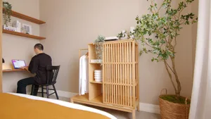 A minimalist small bedroom with wooden furniture and a green plant.