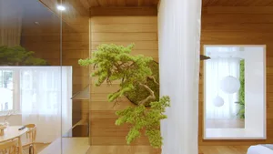 A modern living room with wooden walls, glass windows, and a bonsai tree.