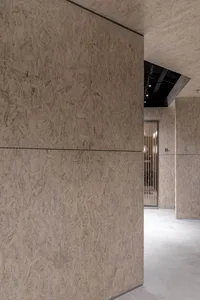 Modern office interior with OSB board paneling on the walls and ceiling.