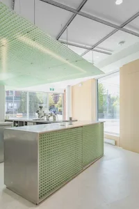 Cozy kitchen with green walls, a countertop, and dining table, surrounded by chairs and potted plants, with various kitchen items and utensils visible