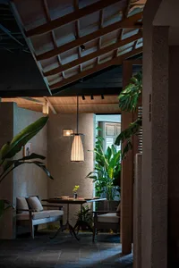 Cozy living space with a dining table, two couches, and a potted plant, surrounded by warm and inviting atmosphere