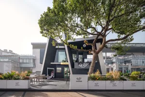 A modern building with a black exterior and a large tree in front, surrounded by scattered chairs for relaxation or socializing