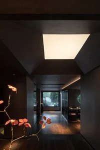 A modern dining space with a round table, chairs, and potted plants, filled with natural light from a large window