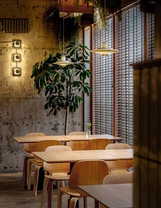 Cozy modern restaurant interior with wooden tables, chairs, and potted plants, lit by natural light
