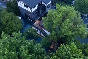 A modern house with a black roof and white walls, surrounded by potted plants and two parked cars in a residential setting