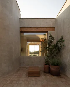 Bright living space with natural light, potted plants, and a bench, creating a welcoming atmosphere