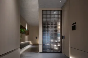 A modern hallway with concrete walls, a glass door, and two potted plants adding greenery to the space