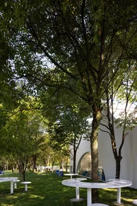 A modern building with a large glass window surrounded by trees, conveying openness and connection to nature