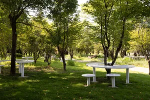 A park area with several wooden benches placed on the grass, surrounded by greenery