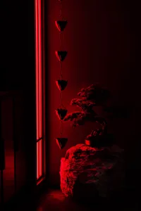 A small bonsai tree sits on a rock in front of a red wall, surrounded by heart-shaped decorations in a cozy indoor space
