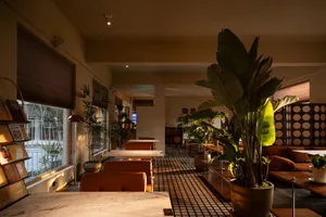 Warm and inviting restaurant interior with potted plants, various chairs, and dining tables arranged throughout the space