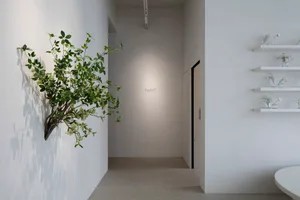 A calm and serene empty hallway with white walls, a tiled floor, and two potted plants on either side