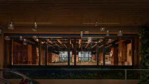 A bright and inviting indoor space with multiple windows, featuring various potted plants and two chairs, creating a natural atmosphere