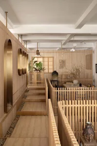 Warm and inviting home interior with wooden walls and floors, featuring a dining area, living room, and steps leading to another level, with natural elements and potted plants