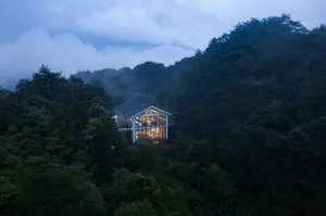 A modern building with large windows, situated in a serene forest environment with surrounding trees