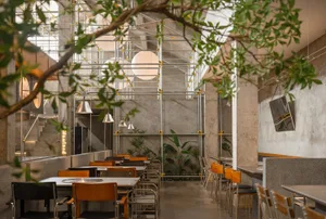 A restaurant dining area with multiple tables, chairs, and potted plants, creating a warm and inviting atmosphere