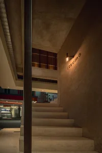 A well-lit staircase in a modern office building with concrete stairs, flanked by potted plants and conveying a sense of functionality and organization