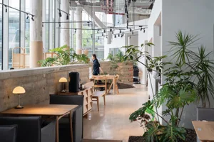 Inviting open space with high ceilings, multiple plants, potted trees, and comfortable seating areas