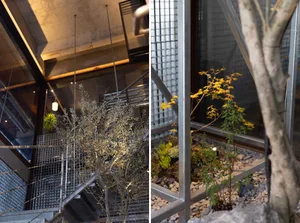 Modern interior space with a staircase, metal railing, and potted plants on a window sill and floor