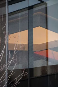 A modern building with a concrete exterior, large windows, and blinds, set against a backdrop of two trees in a contemporary urban environment