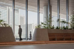 A modern lobby with large windows, benches, and a potted plant, flooded with natural light
