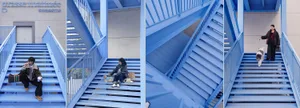 A staircase with blue steps, featuring people in both upward and downward views, with a dog sitting on the steps in the downward view, in a calm and peaceful atmosphere
