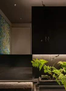 A welcoming hallway with a black doorway, two potted plants, and a touch of greenery