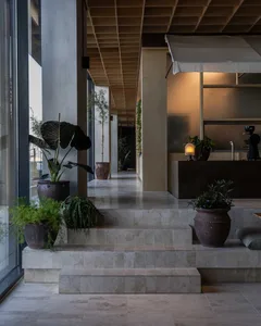 A calm and inviting indoor space with a staircase, potted plants, and vases, featuring natural elements and a warm atmosphere