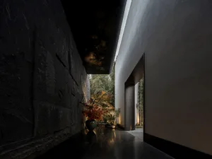 A modern hallway with a stone wall and a glass wall, featuring two potted plants and a vase, adding greenery and decoration