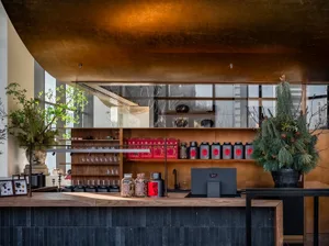 A restaurant counter with various items on display, surrounded by potted plants and an inviting atmosphere