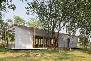 Open living area with a wooden floor, natural light, and two cats, creating a warm and inviting atmosphere
