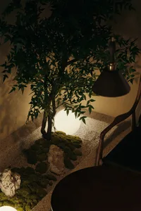 A cozy indoor space with a potted tree, two chairs, and a dining table, featuring a rocky surface and natural elements