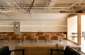 Open living area with a white wall, multiple chairs, a dining table, and a potted plant, designed for relaxation and socializing