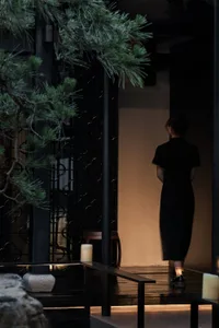 A living area with a dining table, chairs, a potted plant, and a vase, with two women in the scene