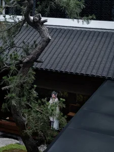 A woman in traditional clothing stands in front of a building with a tiled roof, surrounded by potted plants