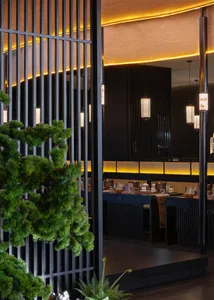 Dining area with multiple tables, chairs, and potted plants, set against a black wall backdrop